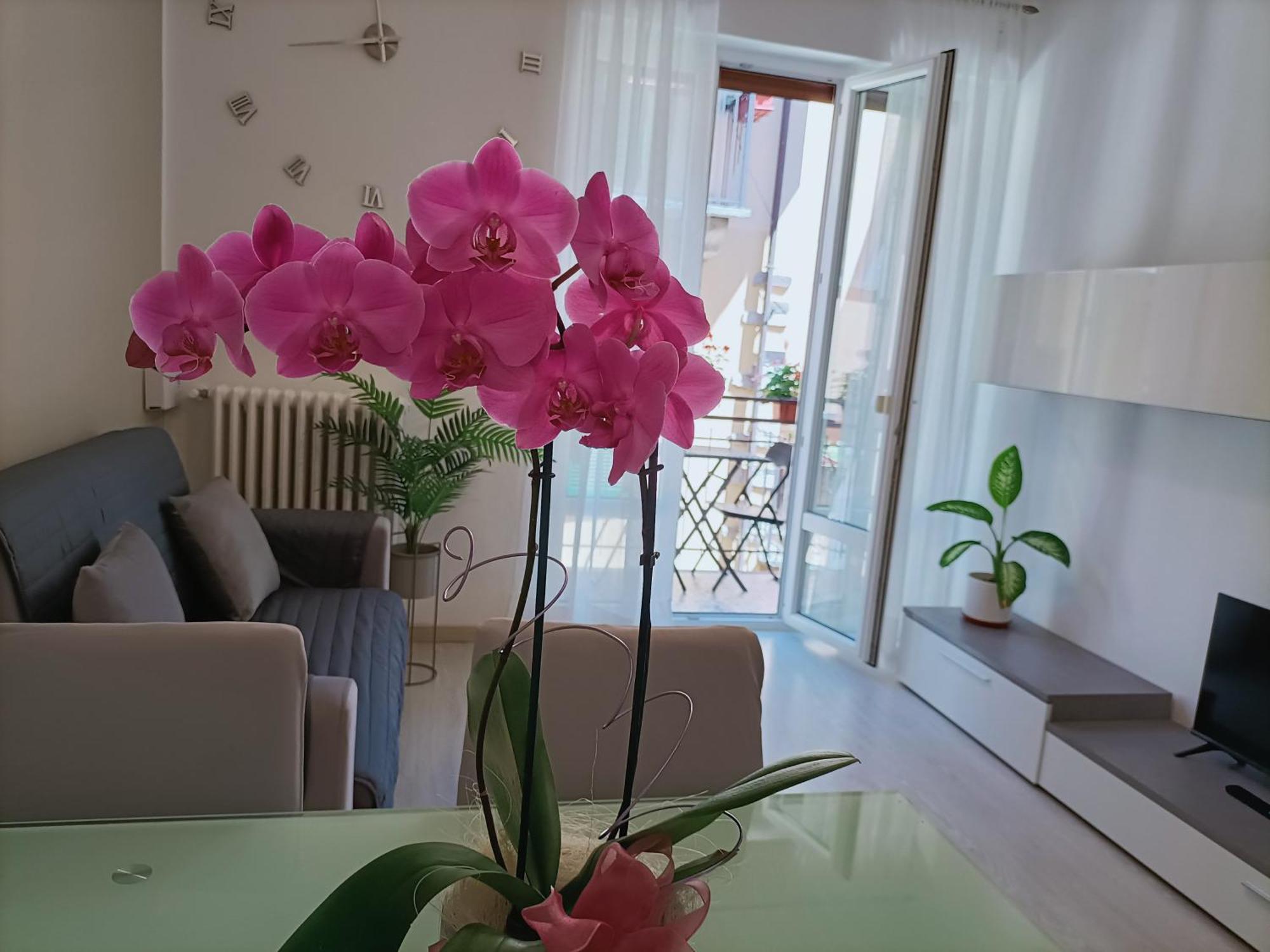 Apartment Jessy Μπαβένο Εξωτερικό φωτογραφία